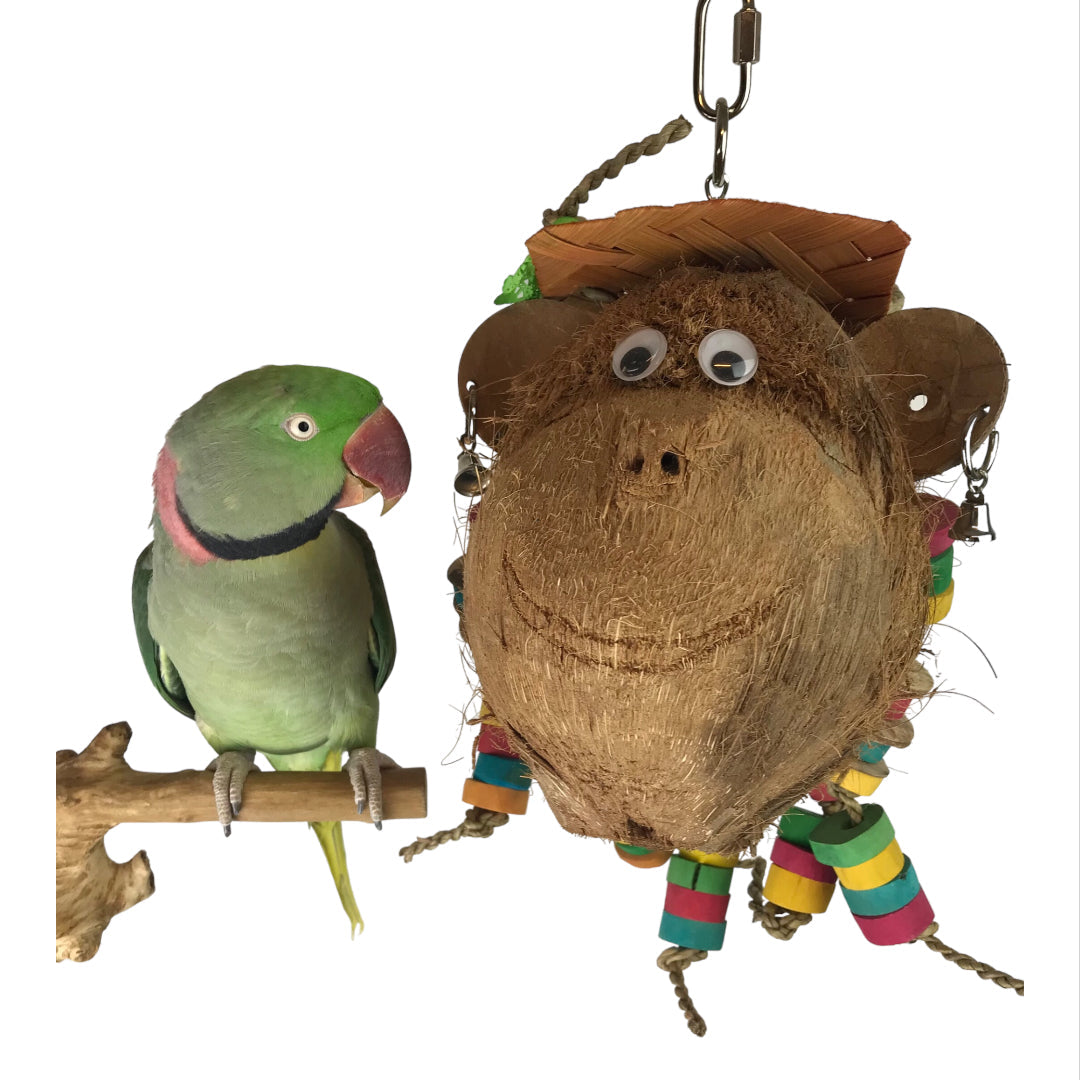 Ninos Java Miss Monkey Toy for Birds