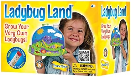 Insect Lore Live Ladybug Growing Kit Toy -unisex-children Original Ladybug Land