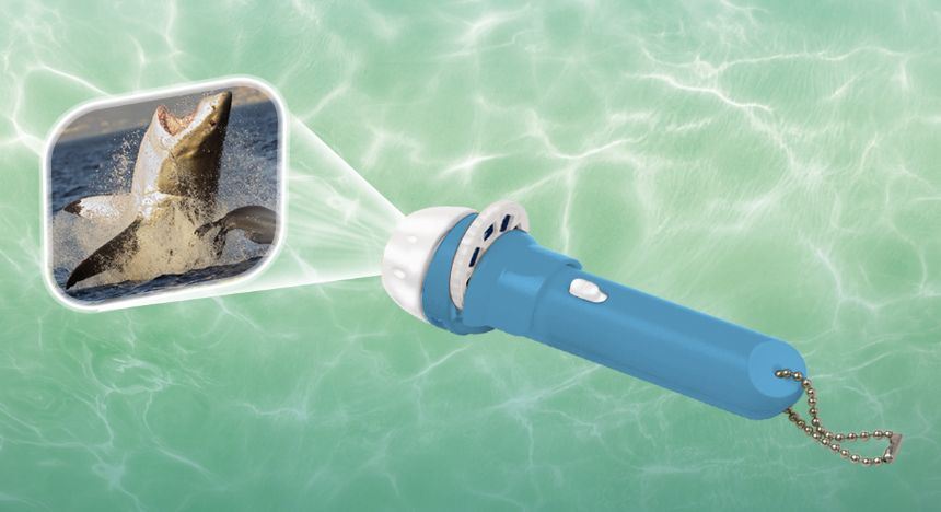 Shark Torch - Torch and Projector