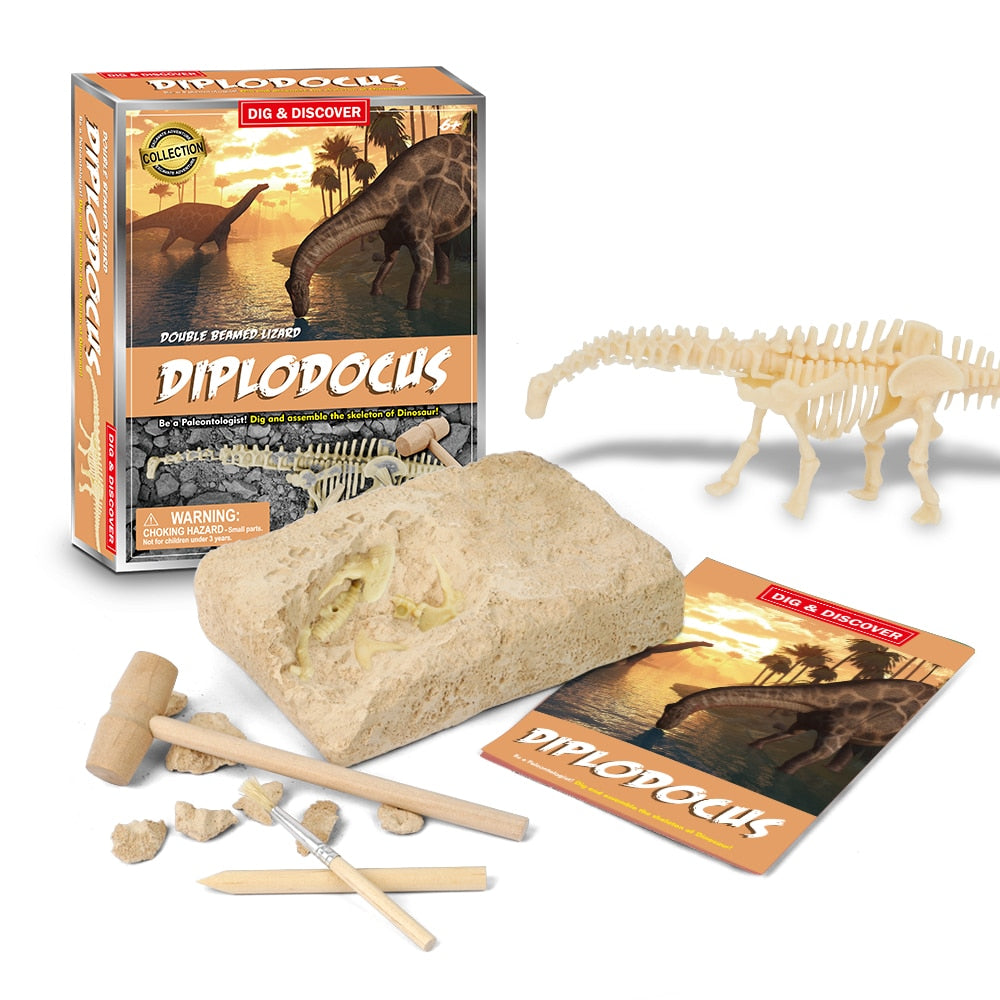 Dinosaur Fossil Digging Kit - JCEE Shop