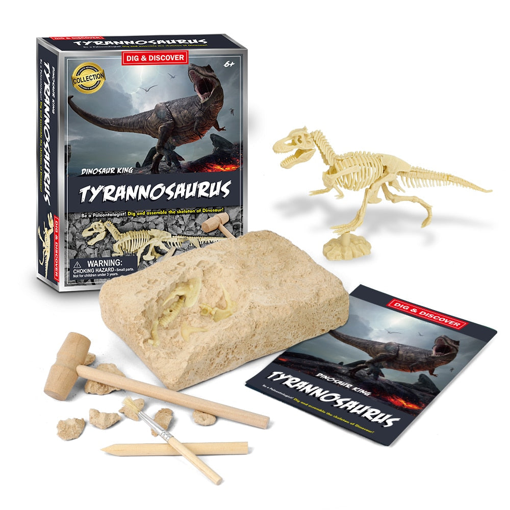 Dinosaur Fossil Digging Kit - JCEE Shop