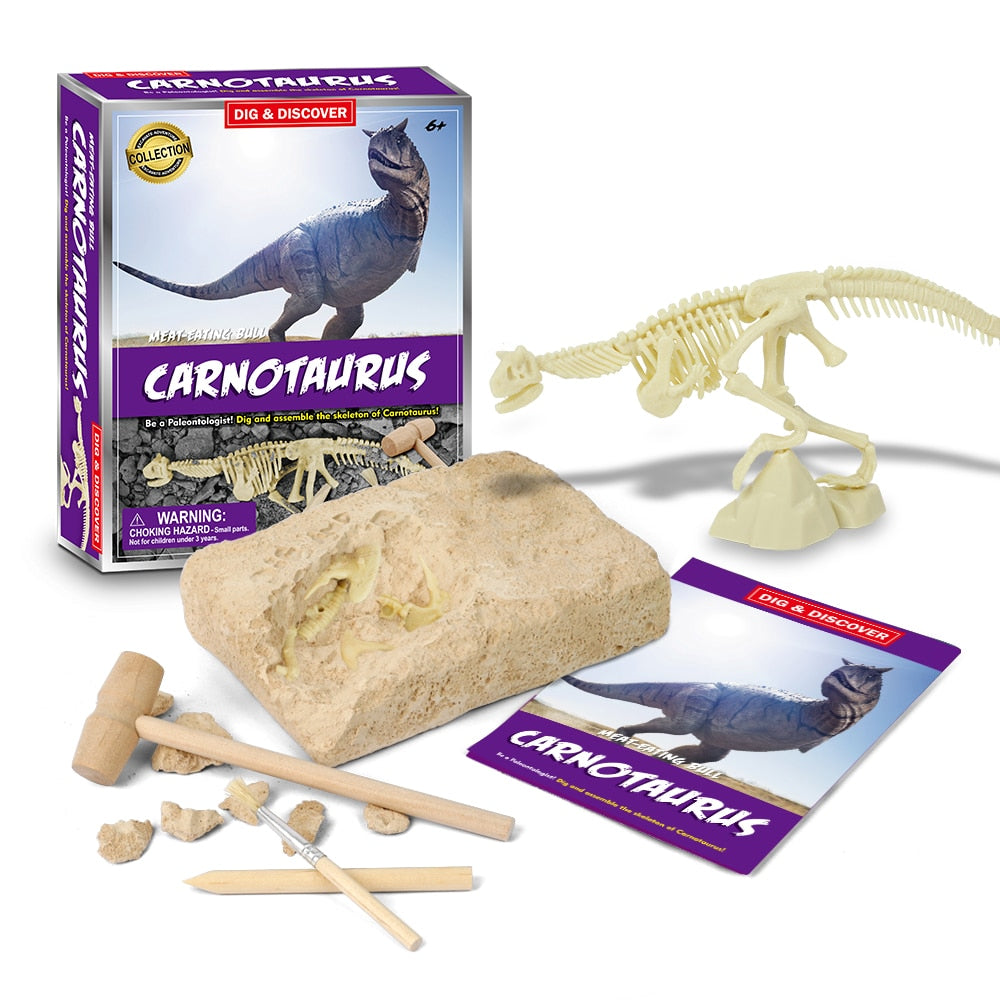 Dinosaur Fossil Digging Kit - JCEE Shop