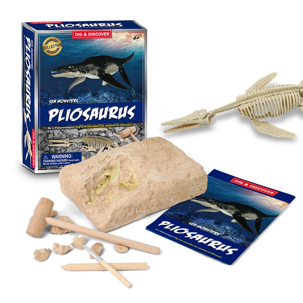 Dinosaur Fossil Digging Kit - JCEE Shop