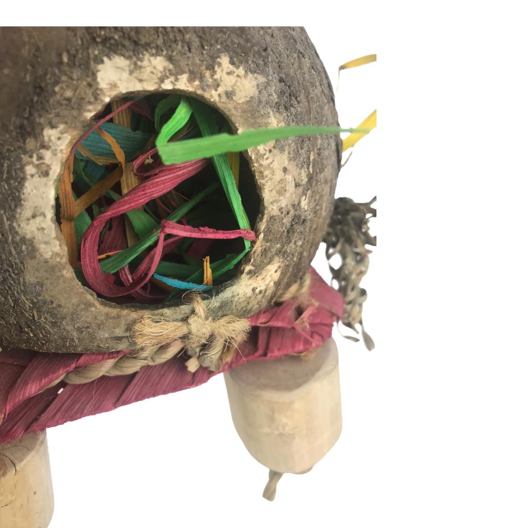 Ninos Java Turtle Foraging Toy for Birds